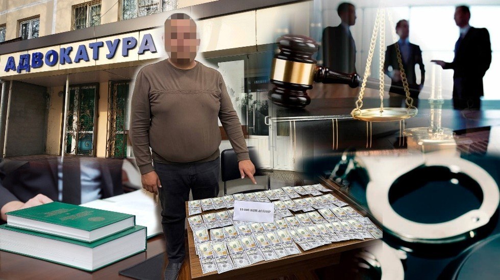адвокат  - последние новости от команды Repost.uz