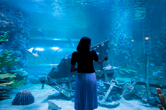 20 марта состоится открытие океанариума в Magic City