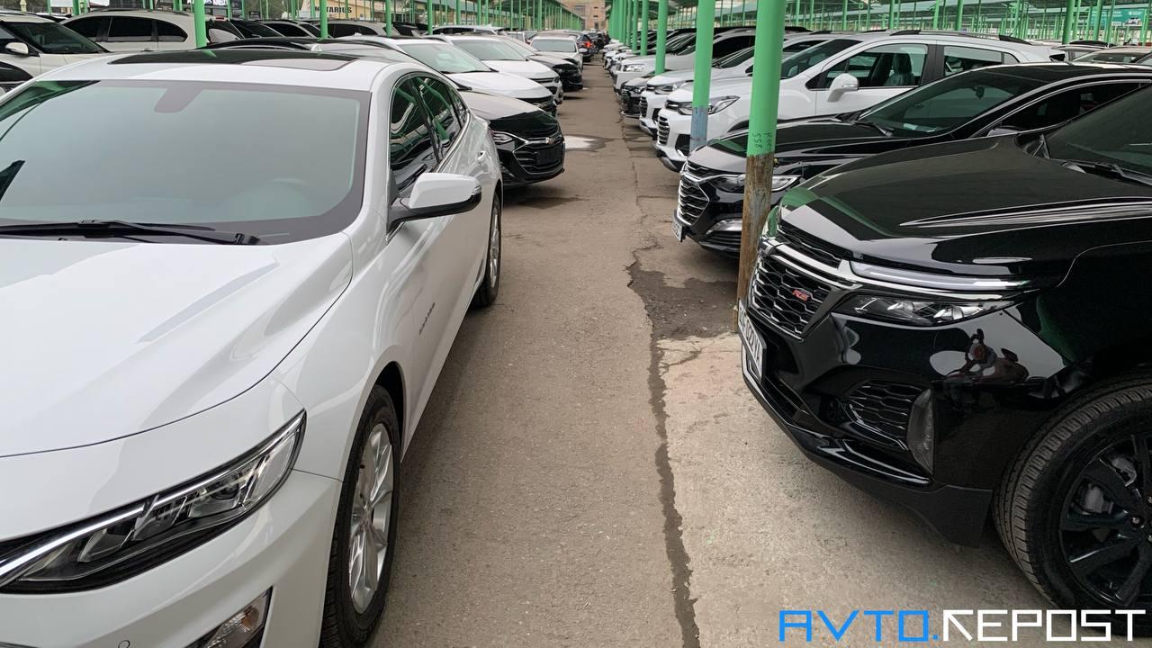 O‘zbekistonda har 100 ta oilaga nechta avtomobil to‘g‘ri keladi? Statistika