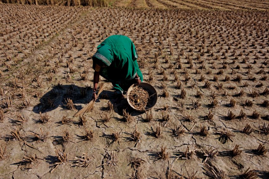 Всемирный банк выделит $30 млрд на борьбу с продовольственным кризисом