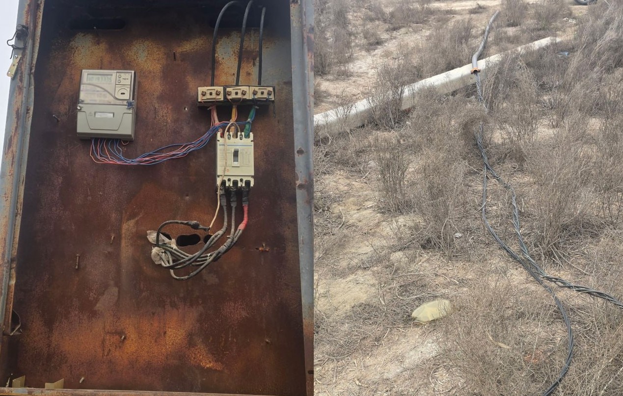 В Бухаре выявили ферму, расхитившую электричество более чем на 1,7 млрд сумов