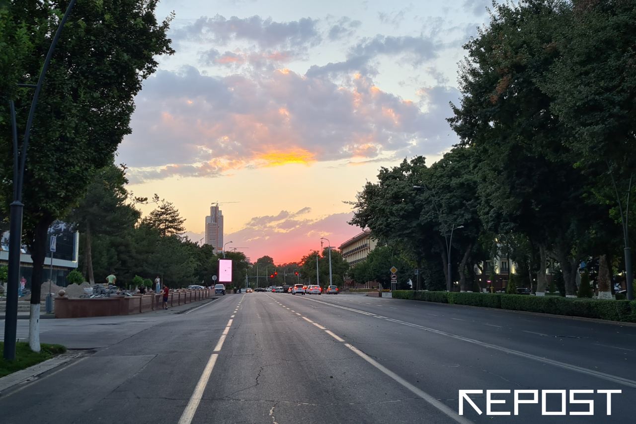 Жара до 39 градусов: какая погода ждет узбекистанцев на выходных
