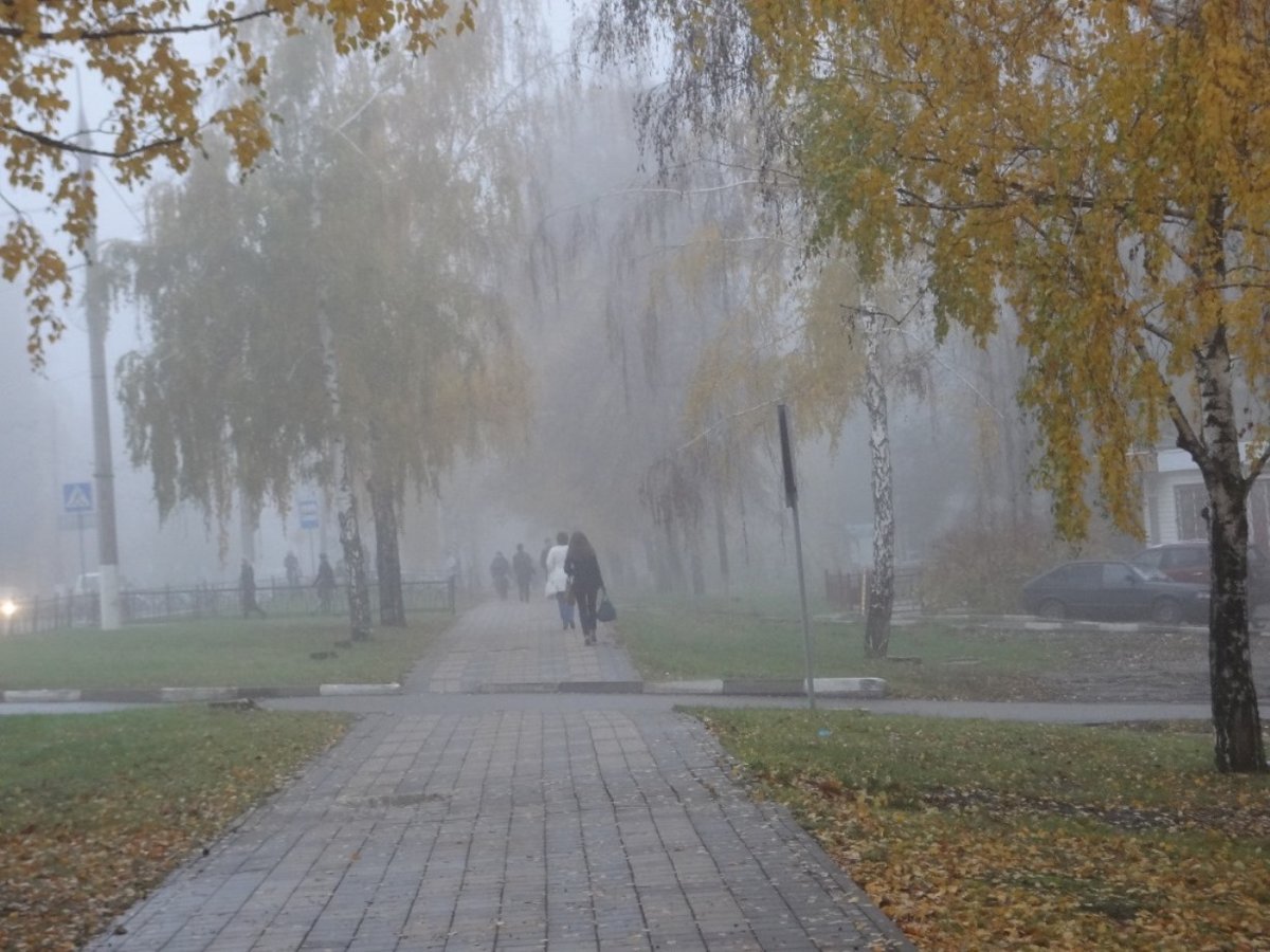 Узбекистанцам рассказали о погоде на предстоящей неделе