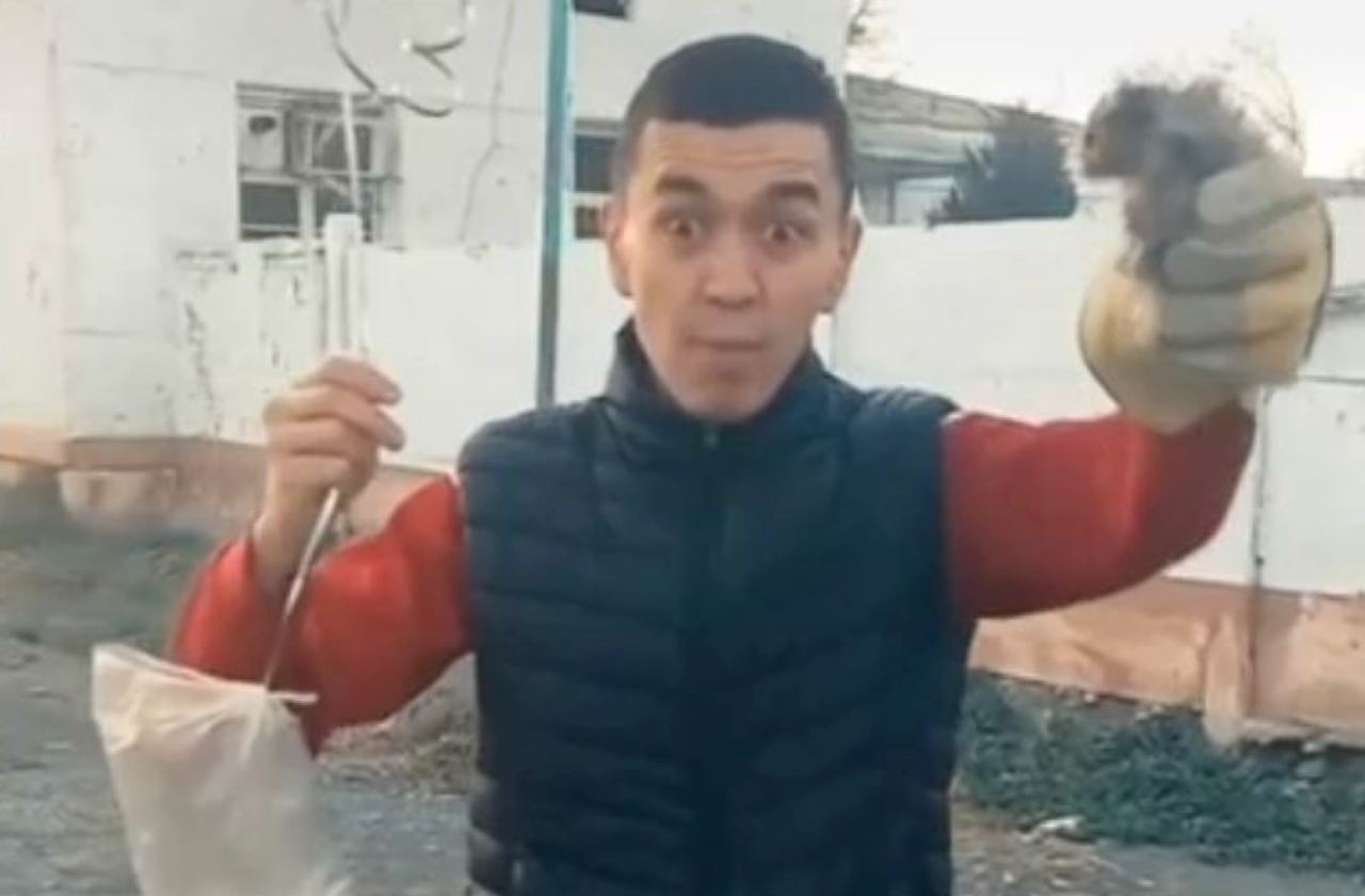 В Узбекистане блогер запустил хомяка в небо на воздушных шарах 