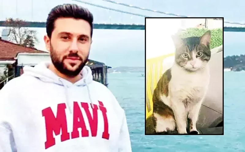 В Турции убийце дворового кота дали рекордные 2,5 года тюрьмы 