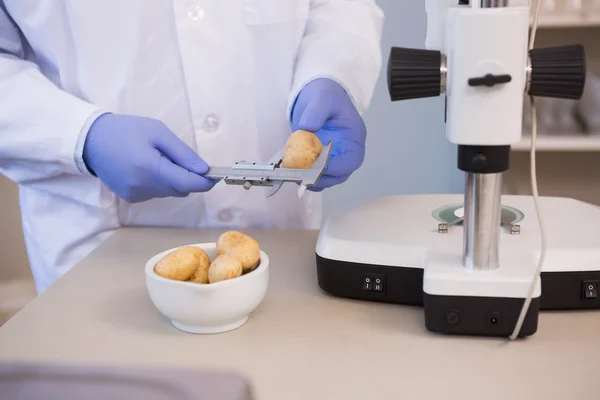 Ученые впервые смогли расшифровать геном картошки – он сложнее, чем у людей