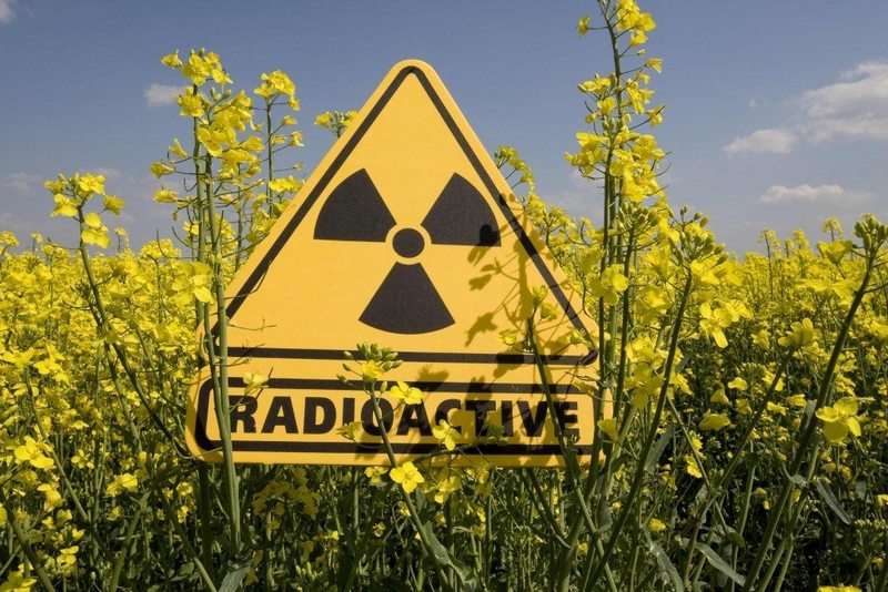 Как радиация влияет на живые организмы