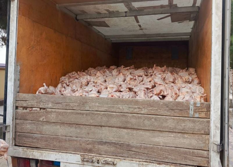 В Ташкент пытались провезти 3 тонны испорченной курятины 