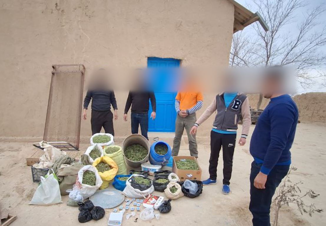 У жителя Кашкадарьи изъяли более 25 кг марихуаны