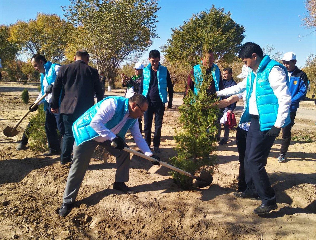 В Узбекистане посадят 250 млн деревьев