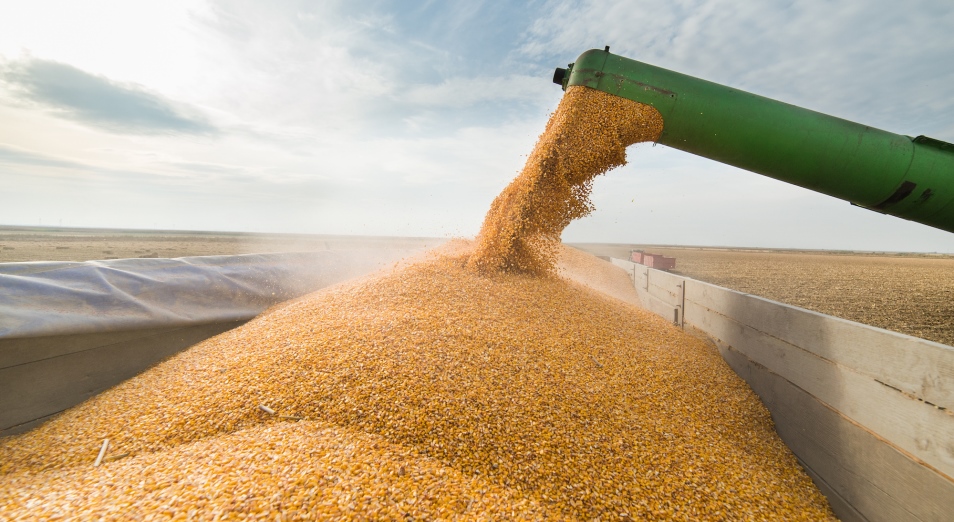 Узбекистан закупил у Казахстана 2,5 млн тонн пшеницы
