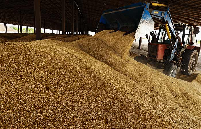 Россия введет запрет на экспорт твердой пшеницы