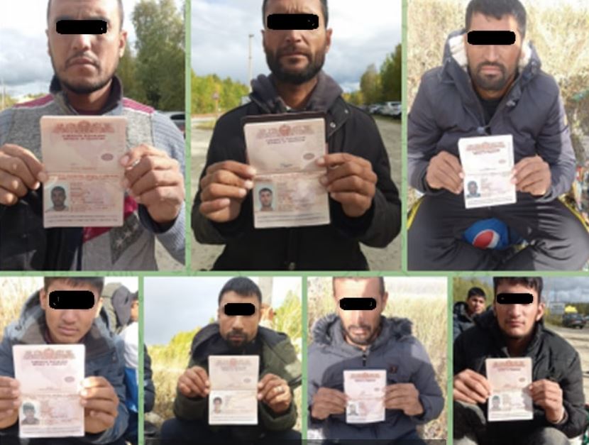 У узбекистанцев отобрали паспорта и заставили работать в российском лесу 