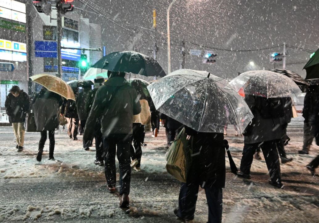 Более 140 жителей Токио госпитализировали из-за снегопада