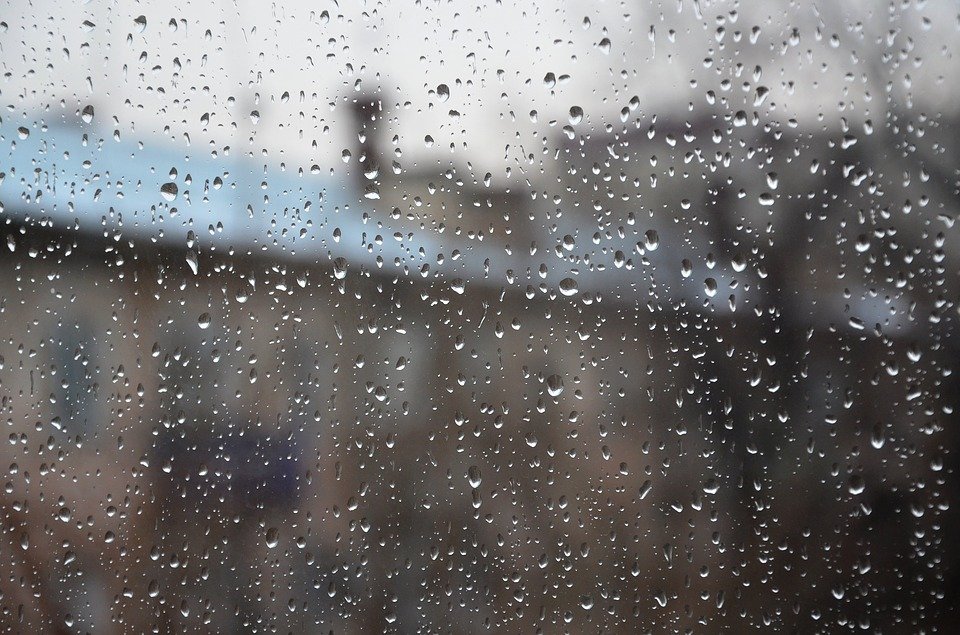 Узбекистанцев ожидают дождливые и ветреные выходные — прогноз погоды