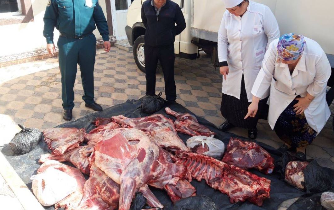 В Ташкент пытались провезти тонну несъедобного мяса