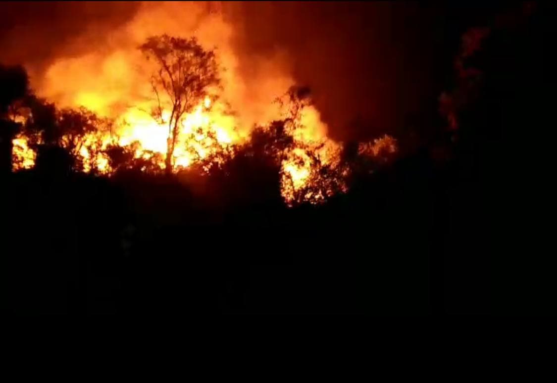 В Самаркандской области загорелся парк: для тушения пожара потребовалось более шести часов