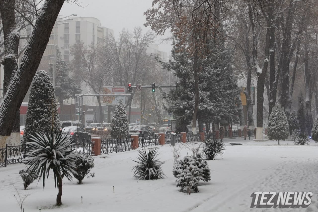 На выходных в Узбекистане ожидаются снег и заморозки
