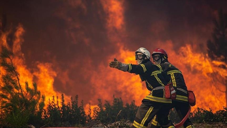 Спасатели не могут справиться с лесными пожарами, бушующими во Франции