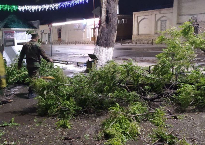 Узбекистанцев экстренно предупредили о сильных ветрах и дождях