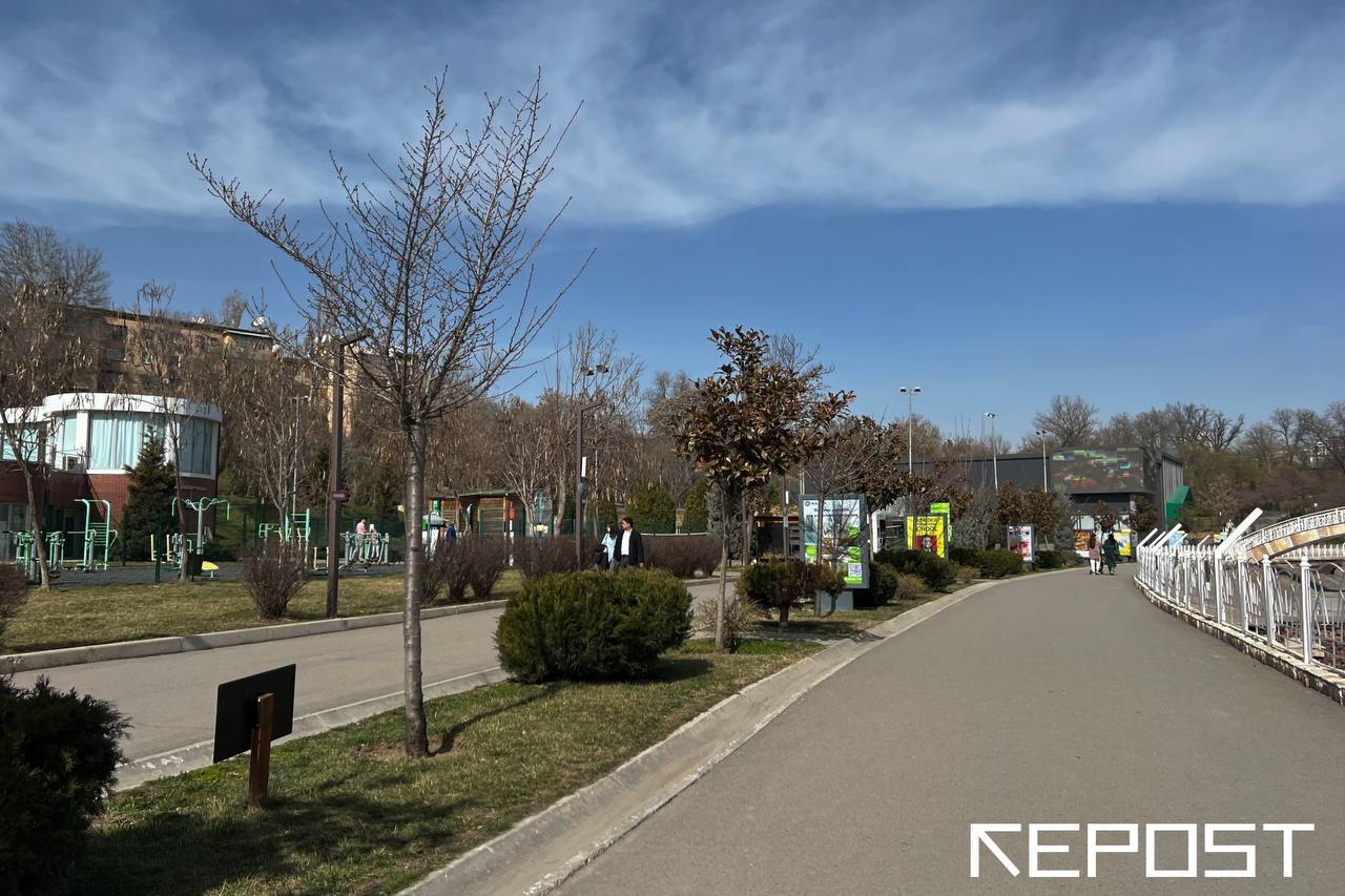 Воздух в Ташкенте сегодня — очень чистый и «зеленый»
