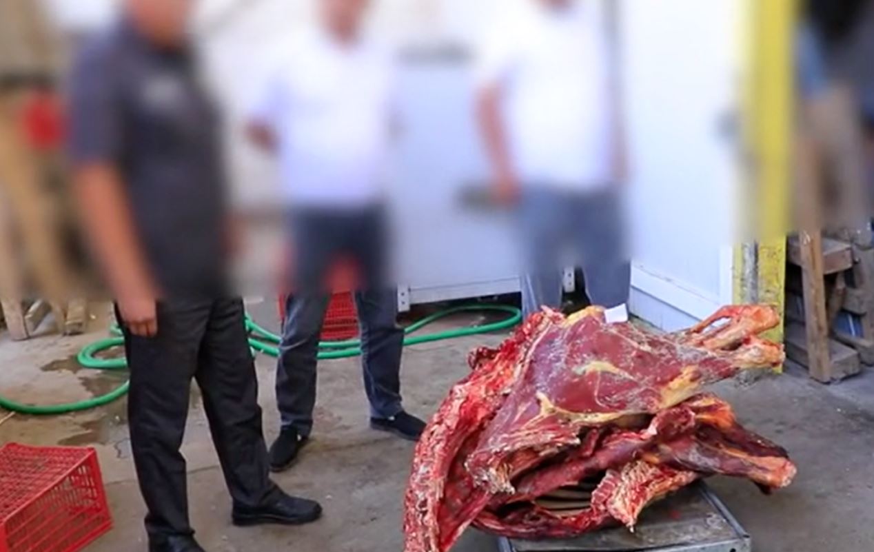 В Ташкент пытались провезти более 800 кг тухлого мяса (видео)