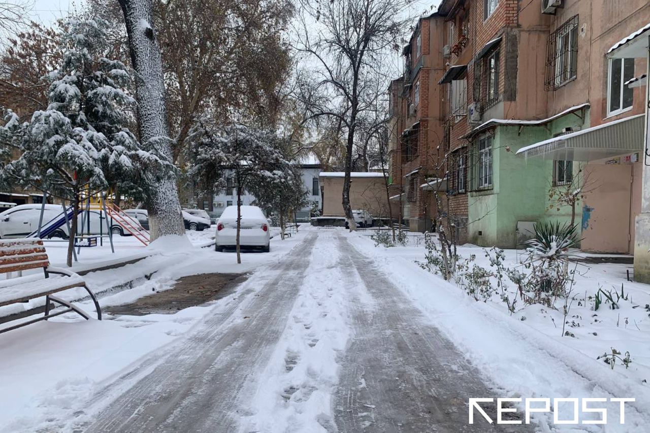 Синоптики рассказали, насколько холодно будет в среду 