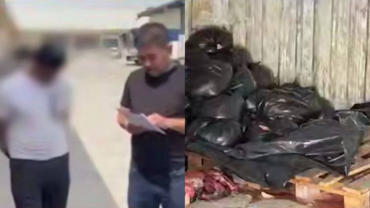 В Ташкент пытались провезти свыше 360 кг ослиного мяса