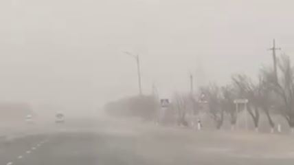 Узгидромет назвал фейковыми сообщения о пыльных бурях, наблюдавшихся в некоторых областях республики