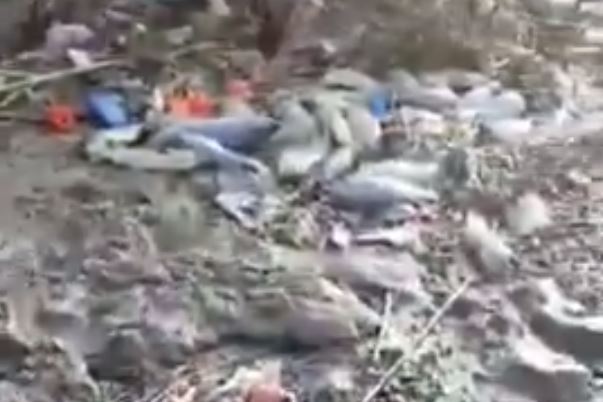 Рыбаки из Чиназа заявили о гибели рыбы в озере Яллама