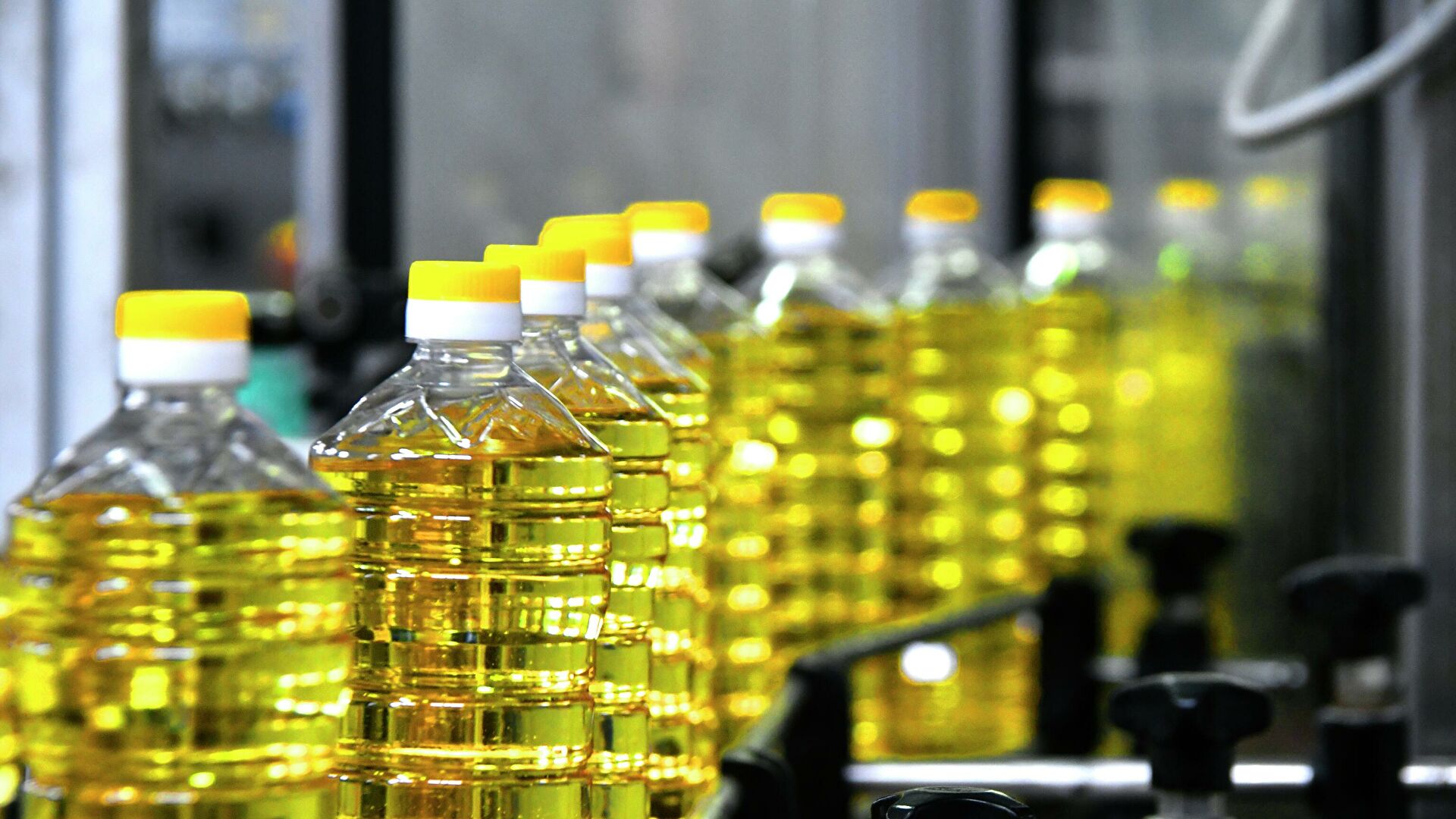 Антимонопольный комитет объяснился за подскочившие цены на растительное масло