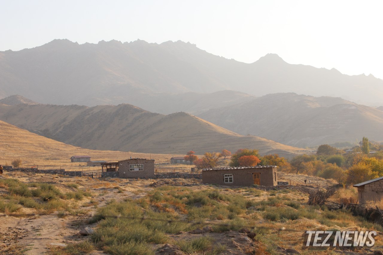 В Узбекистане упростили аренду сельскохозяйственных земель