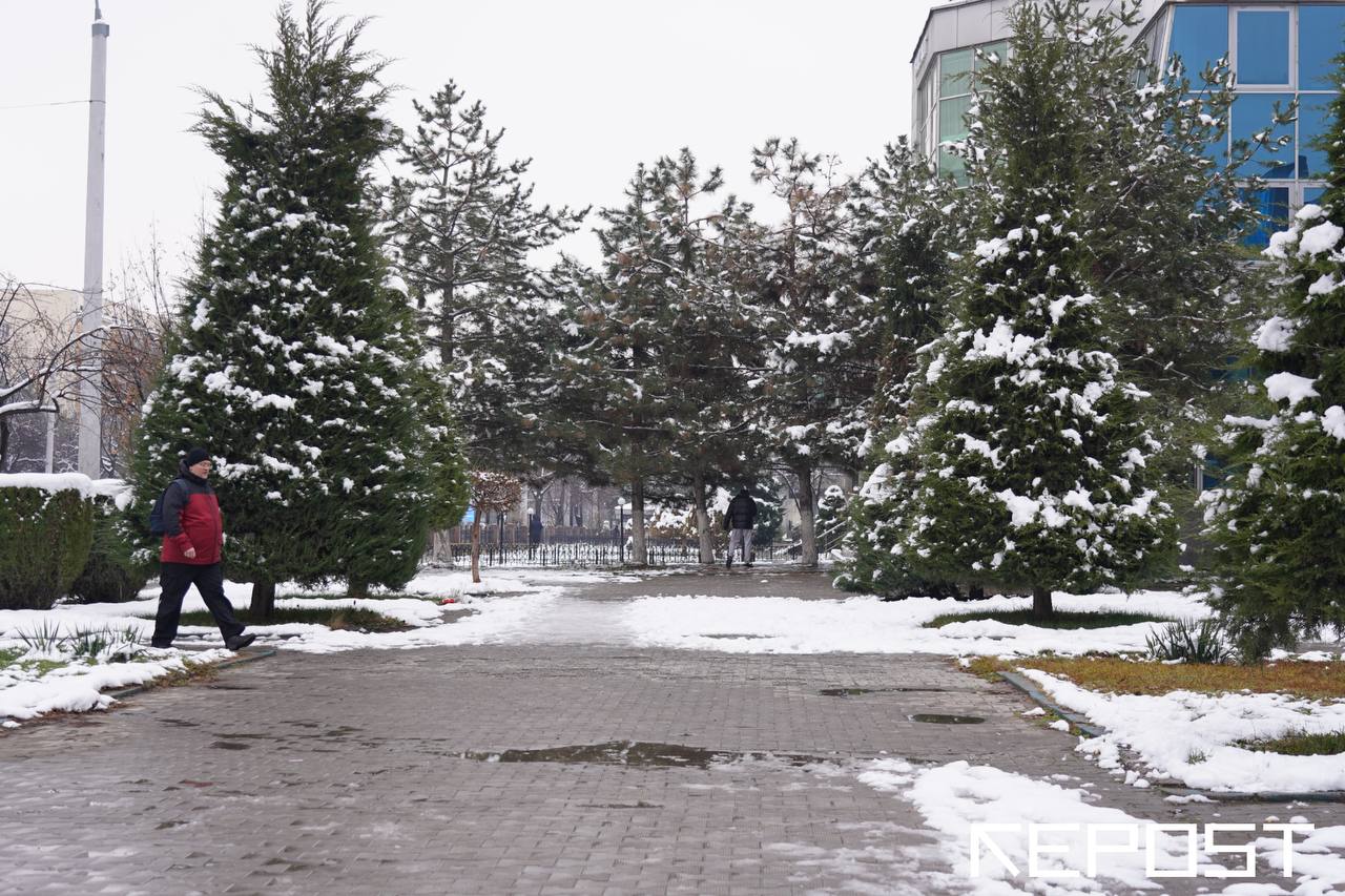 Узбекистанцам пообещали дождливое и снежное начало недели — прогноз погоды