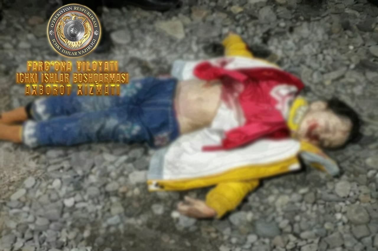 В УВД Ферганской области прокомментировали фото убитой и выброшенной на улице 5-летней девочки <br>