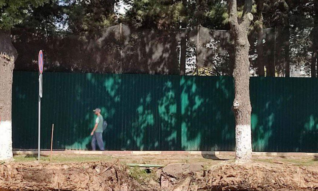 Хокима и прокурора Чиланзара сняли с должностей за порчу более 100 деревьев