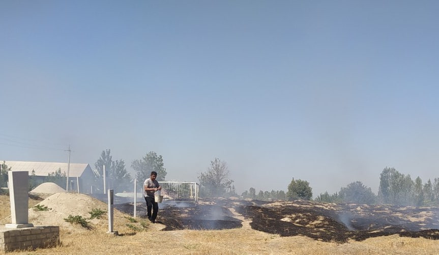 Foto: Samarqand viloyati Ekologiya boshqarmasi matbuot xizmati