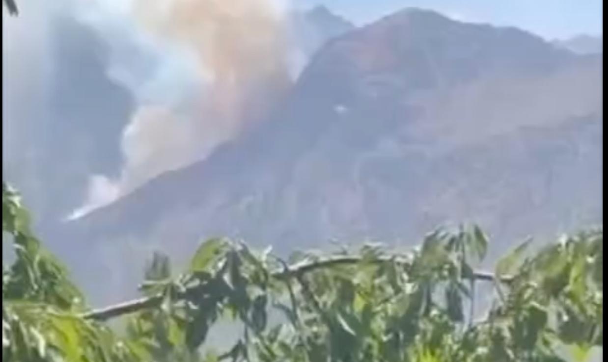 “Burchmullo” o‘rmon xo‘jaligiga qarashli adirlikda yong‘in sodir bo‘ldi