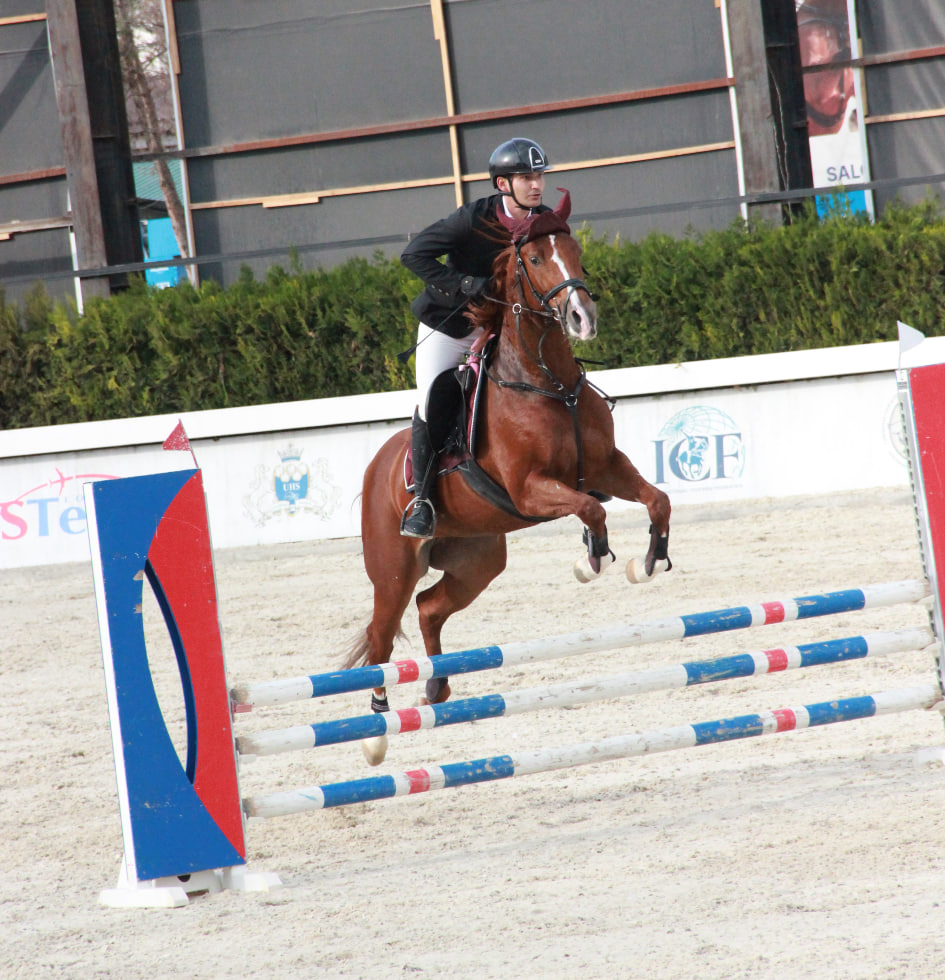 Фото: Федерация коневодства и конного спорта Узбекистана