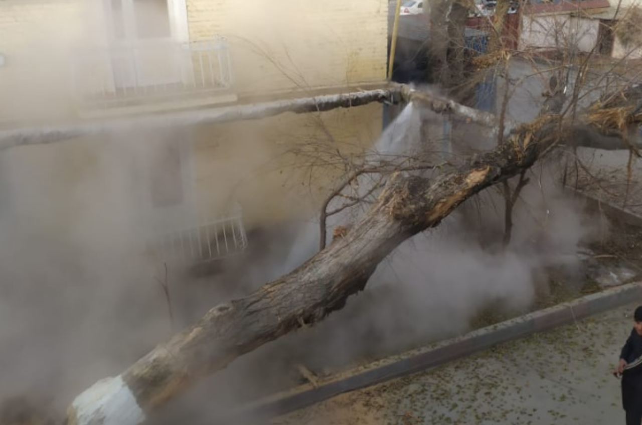 В Мирзо-Улугбекском районе неизвестные повалили дерево на теплотрассу, лишив местных жителей отопления