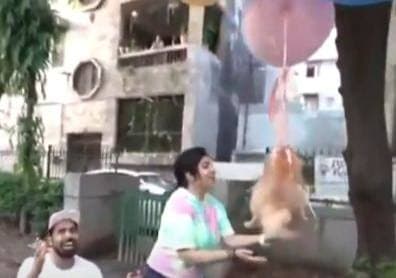 Блогер из Индии запустил собаку в небо и был захейтен