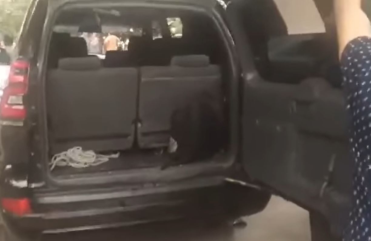 Генпрокуратура изучает ситуацию с мужчиной, перевозившим труп супруги в машине — видео