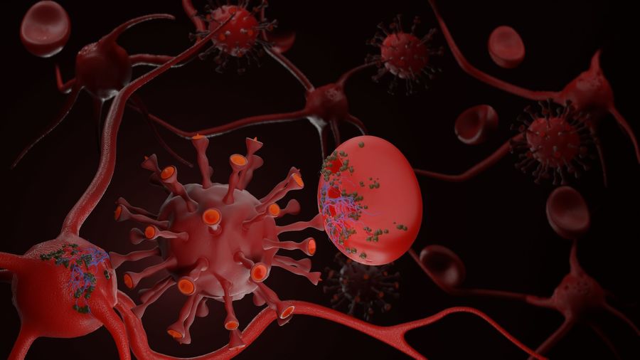 Ученые из Германии выявили измененные клетки крови у больных COVID-19