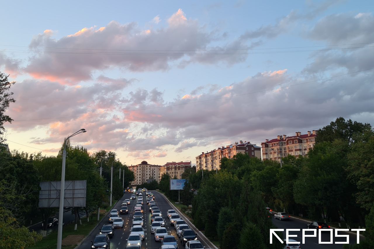 Усиление ветра и 42-градусная жара: какая погода ждет узбекистанцев на этой неделе