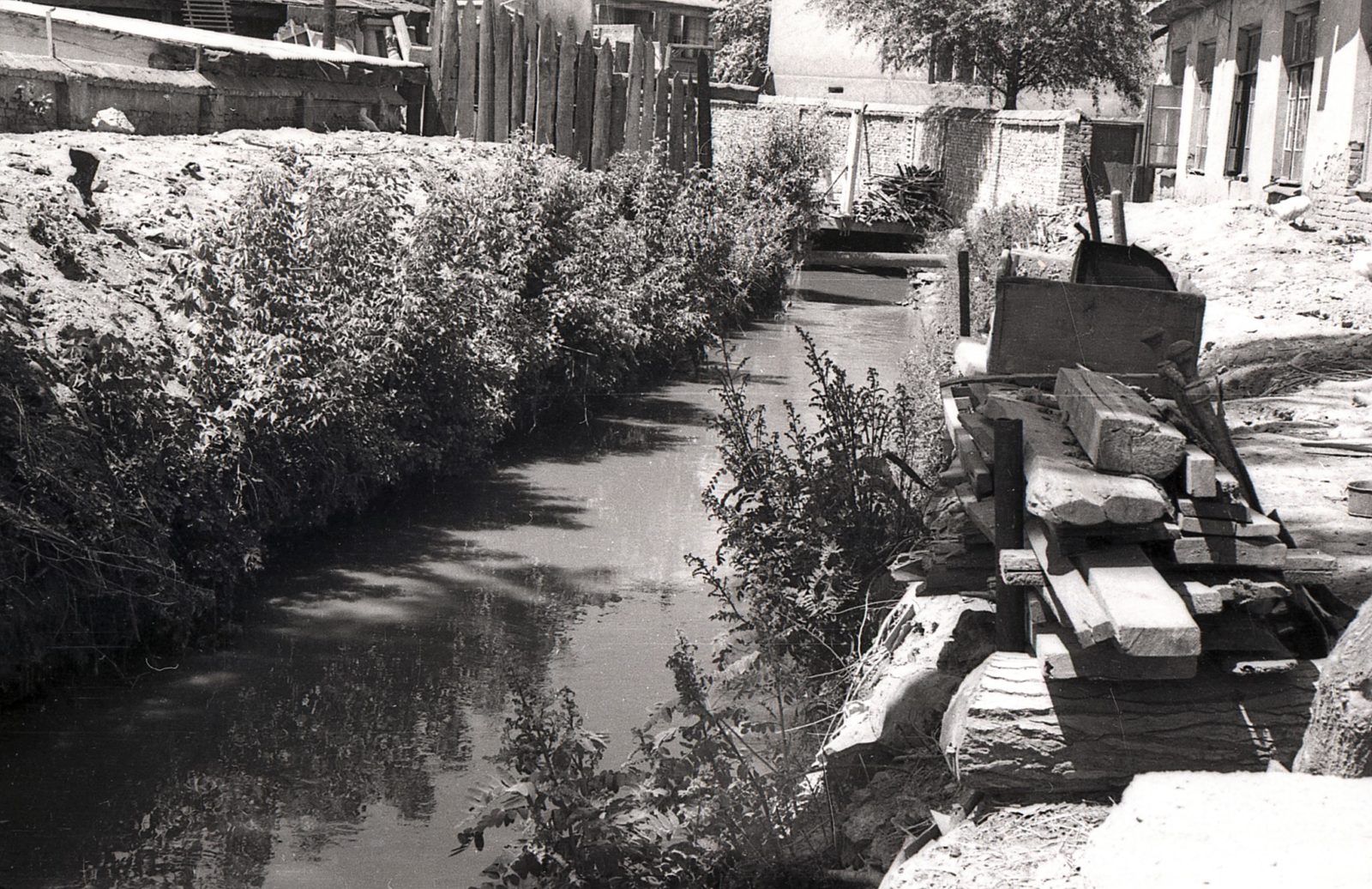 Река Чаули, 1953 г.