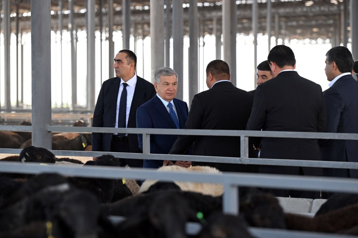 Наманганская область - последние новости от команды Repost.uz