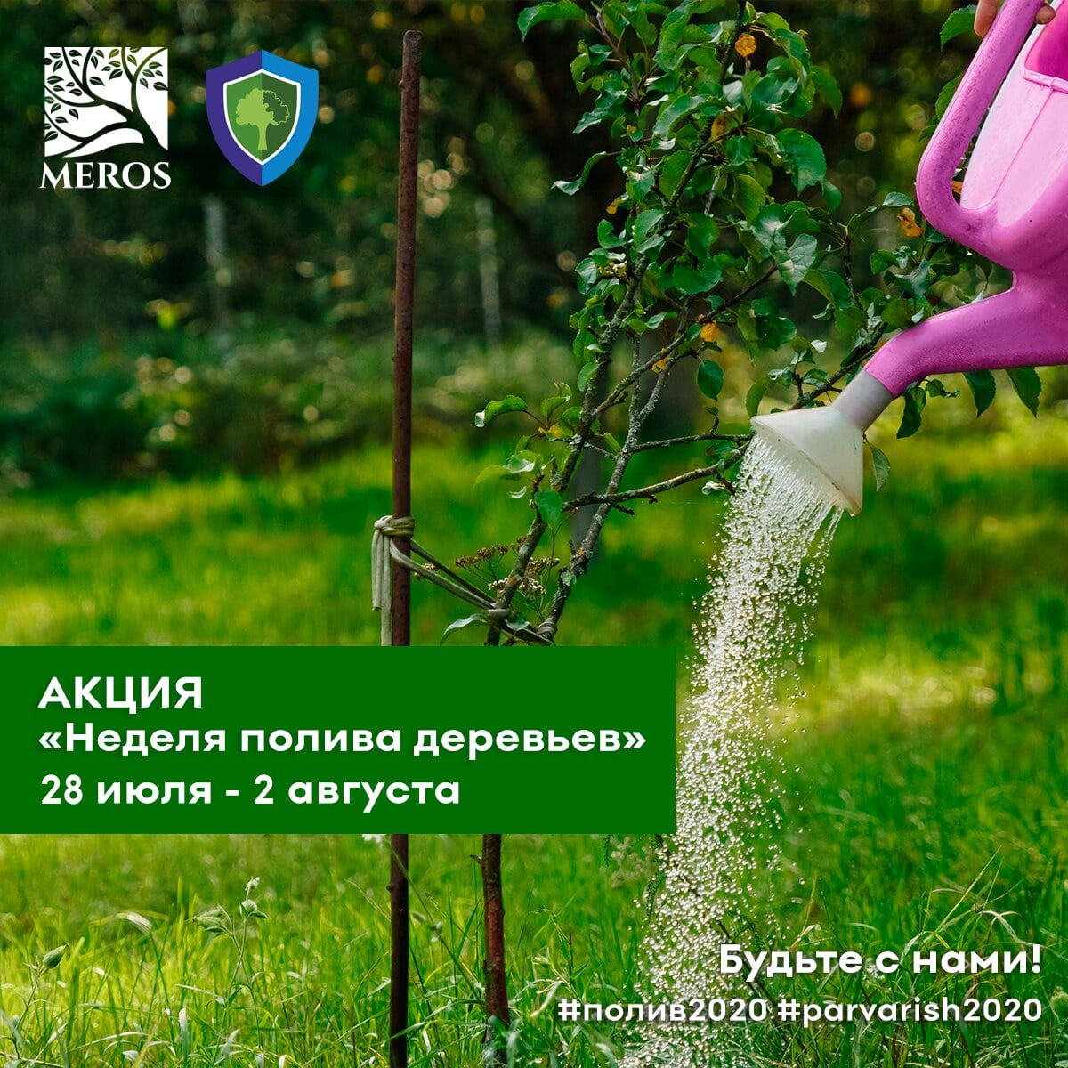 В Ташкенте пройдет акция «Неделя полива деревьев»