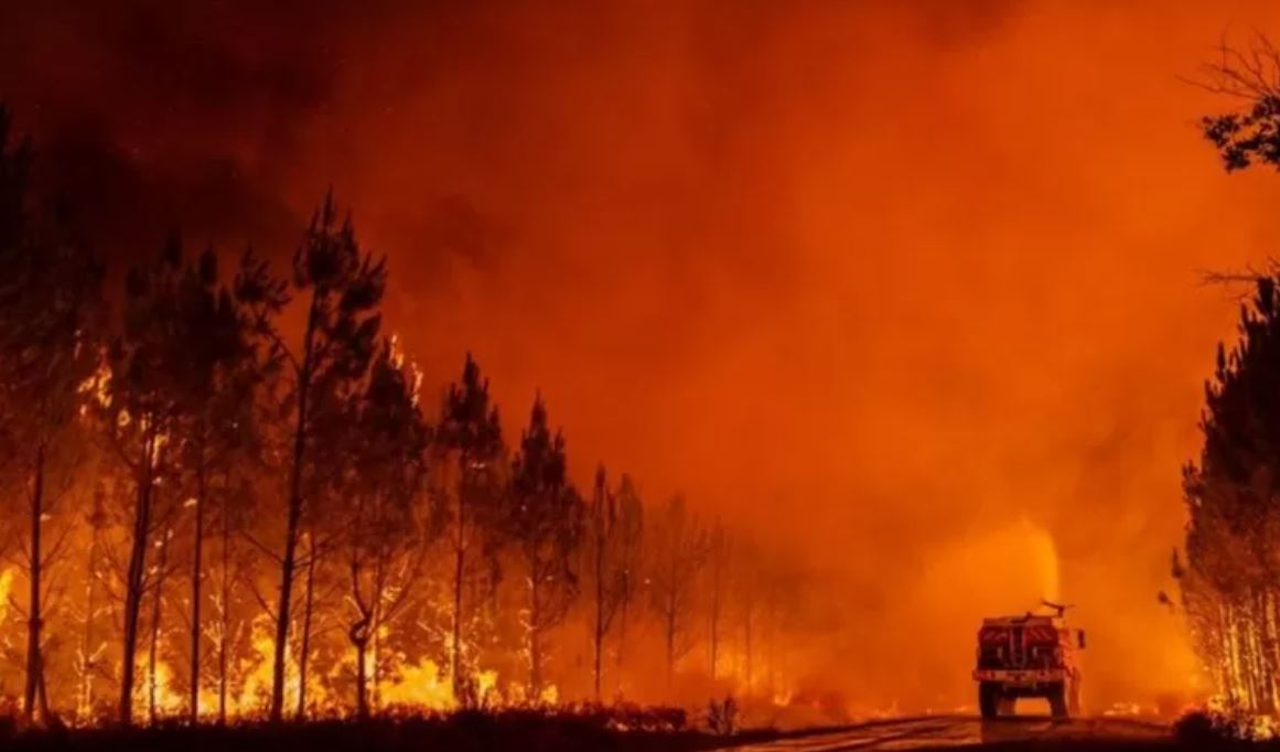 Во Франции задержали более 30 человек, подозреваемых в поджогах лесов