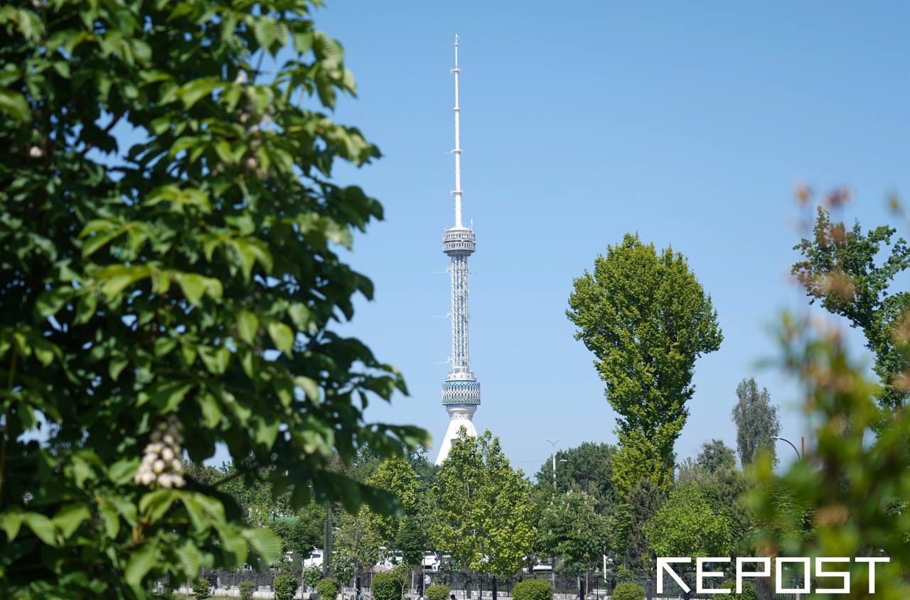 В Ташкенте наблюдается высокое ультрафиолетовое излучение