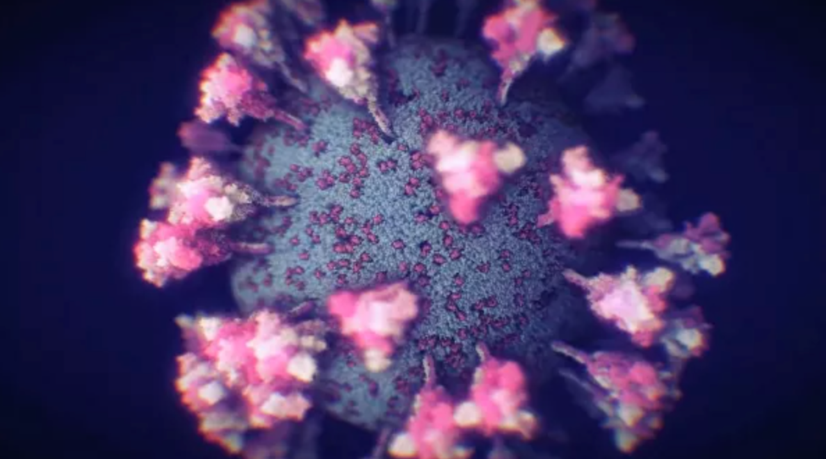 Один из штаммов коронавируса научился обходить антитела