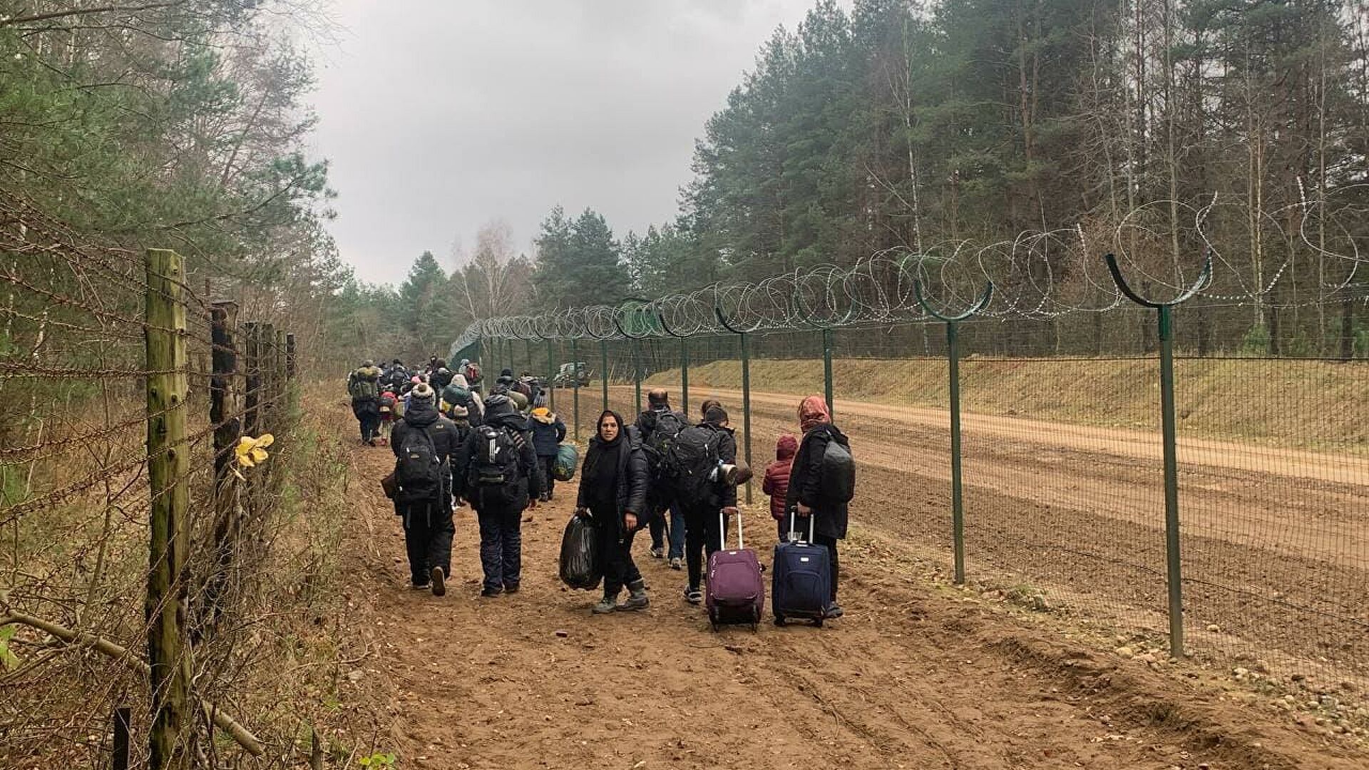 Белоруские военные силой перебросили сотни мигрантов на границу с Литвой